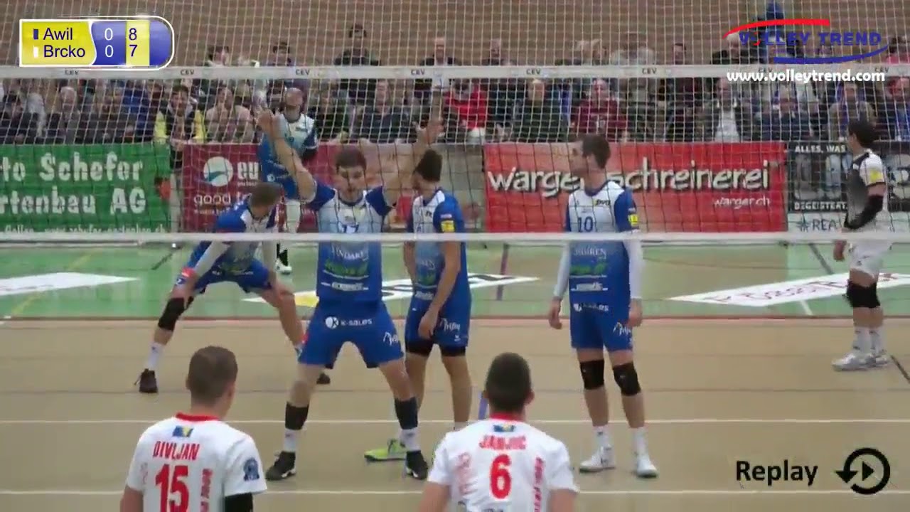 Zarko Kisic, Volley Amriswil - OK Mladost Brcko