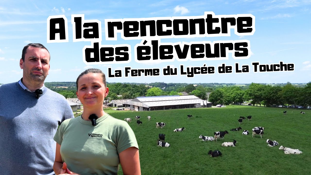 150 vaches, 2 robots au service de 1000 élèves : une ferme qui cartonne !