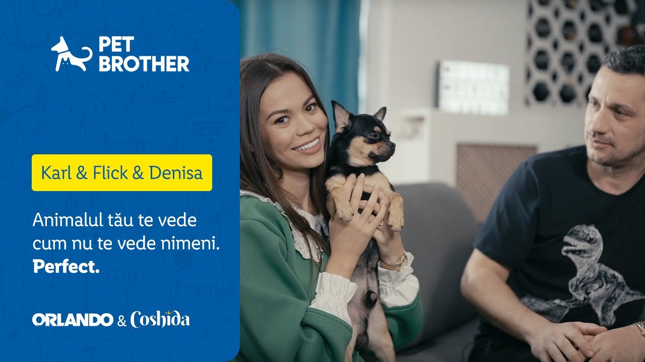 Pet Brother Sezon 2 • Episod 1 Karl, Flick si Denisa