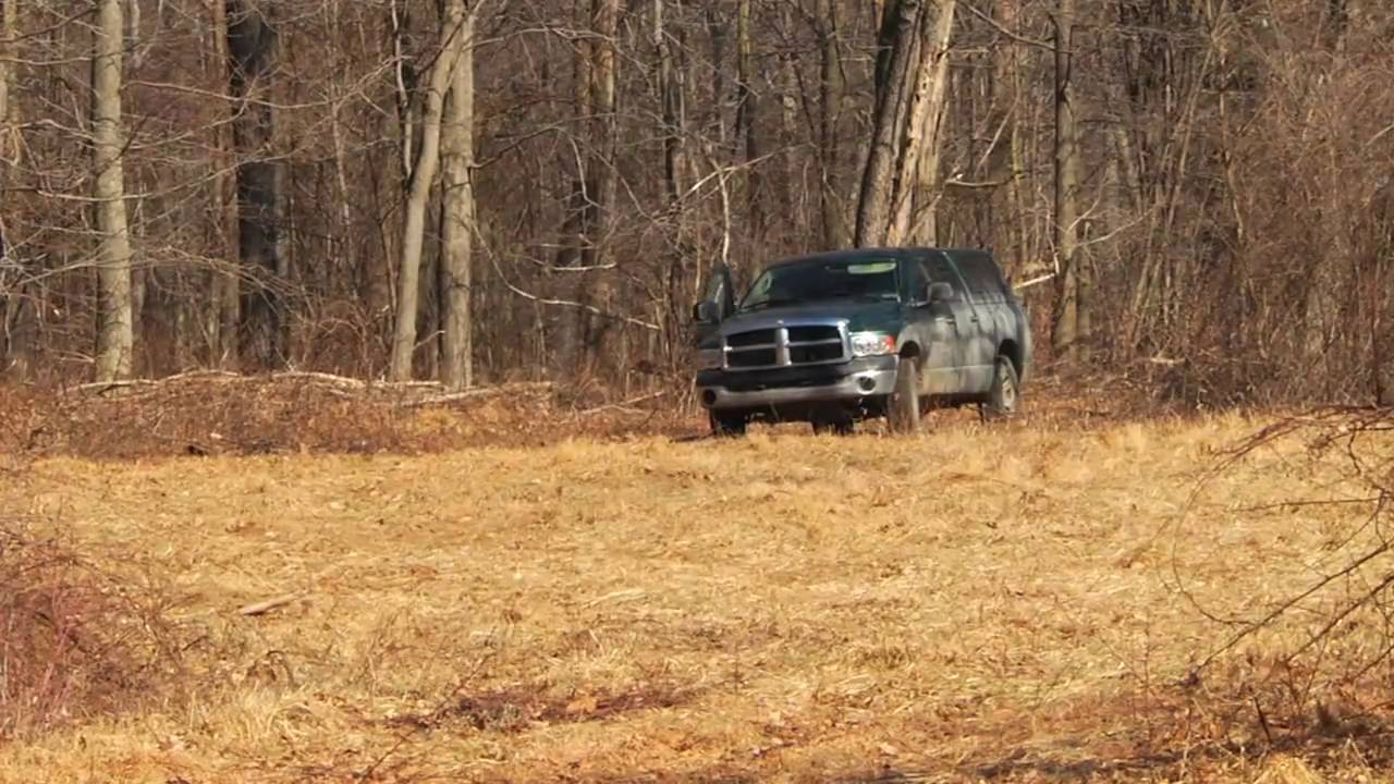 Trapping Deer with 'Clover' Traps