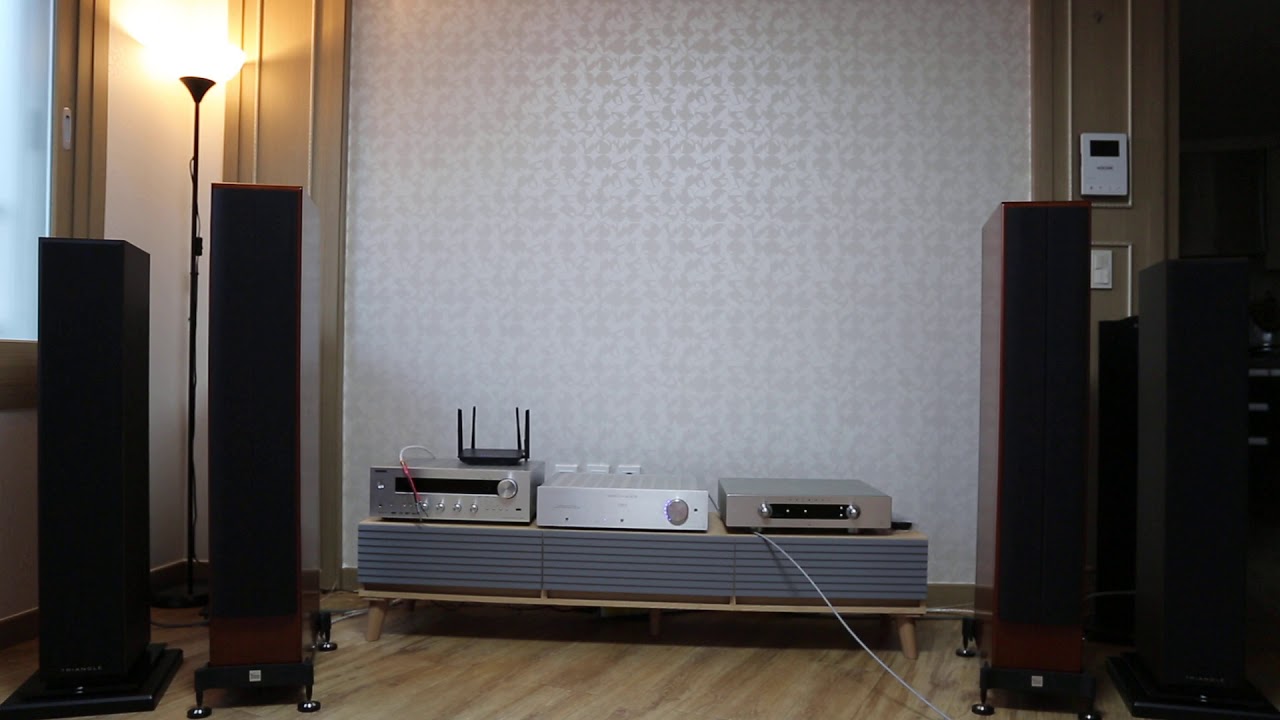 Audio Analogue Verdi Cento / Triangle Gaia EZ #7