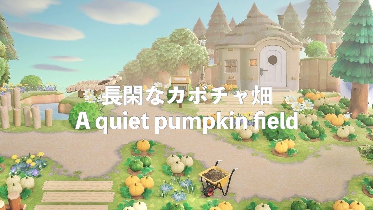 【あつ森】長閑なカボチャ畑【島クリエイト】