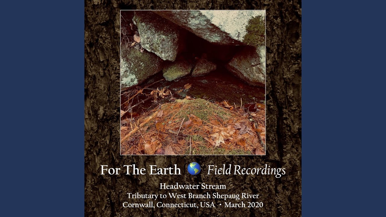 Headwater Stream