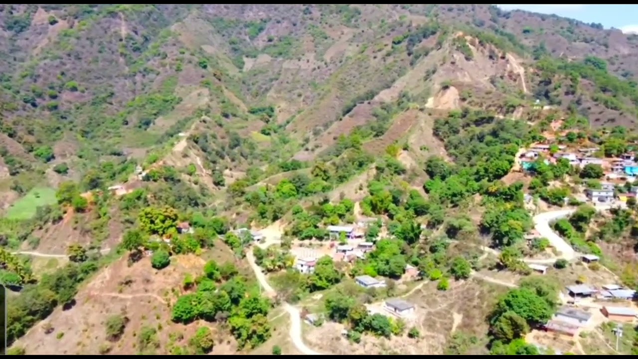 El Jicaral Coicoyan de las flores Oaxaca 🤠