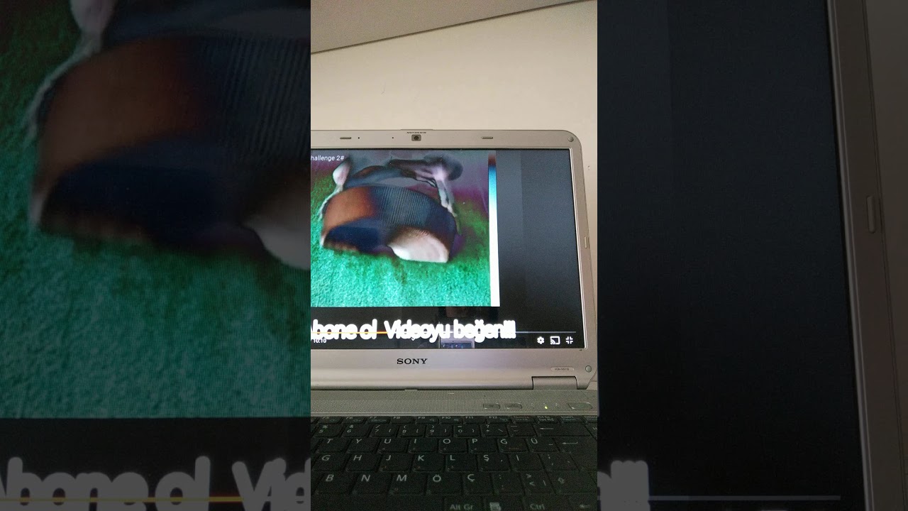 Oha dememe challenge