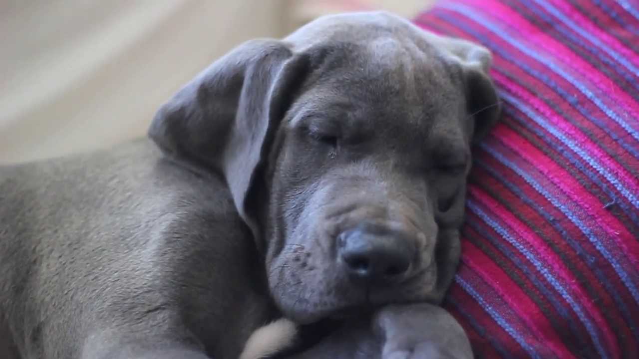 Folke, Two Months