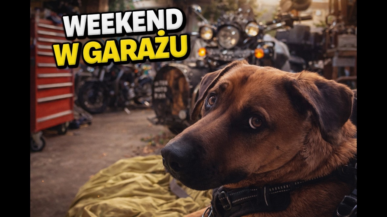 Moto Psina Rock - Weekend w garażu