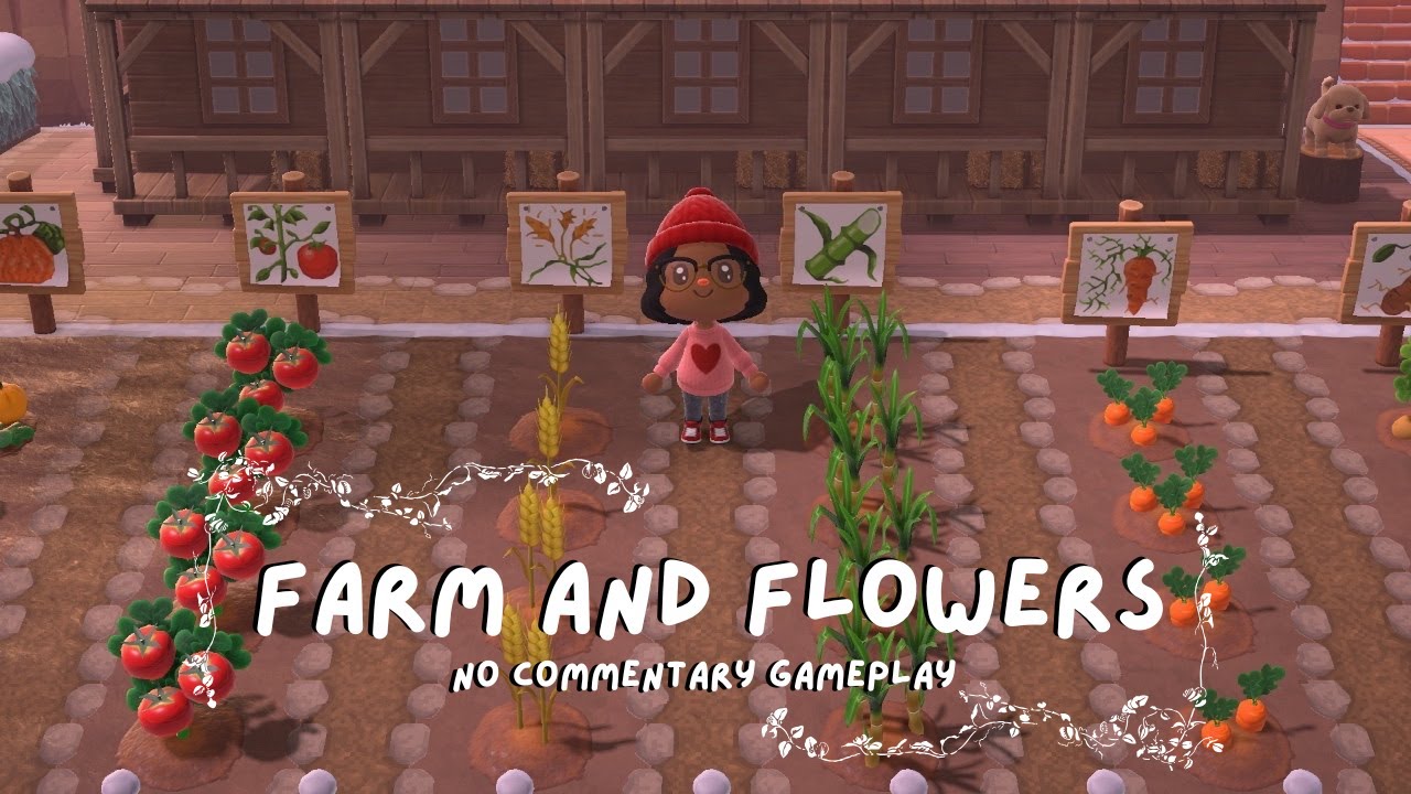 Animal Crossing Longplay 🥕🍵🍦🌻 | Farm & Flowers (No Commentary)
