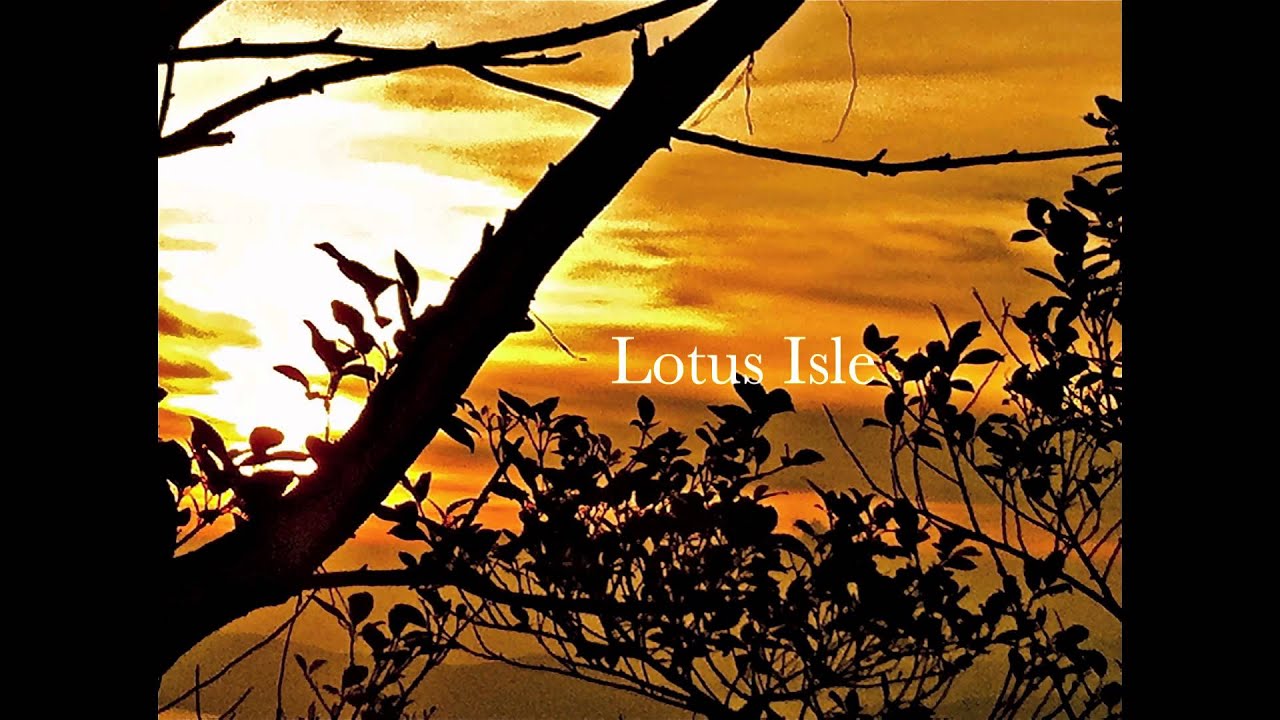 Jun Miyake - Lotus Isle