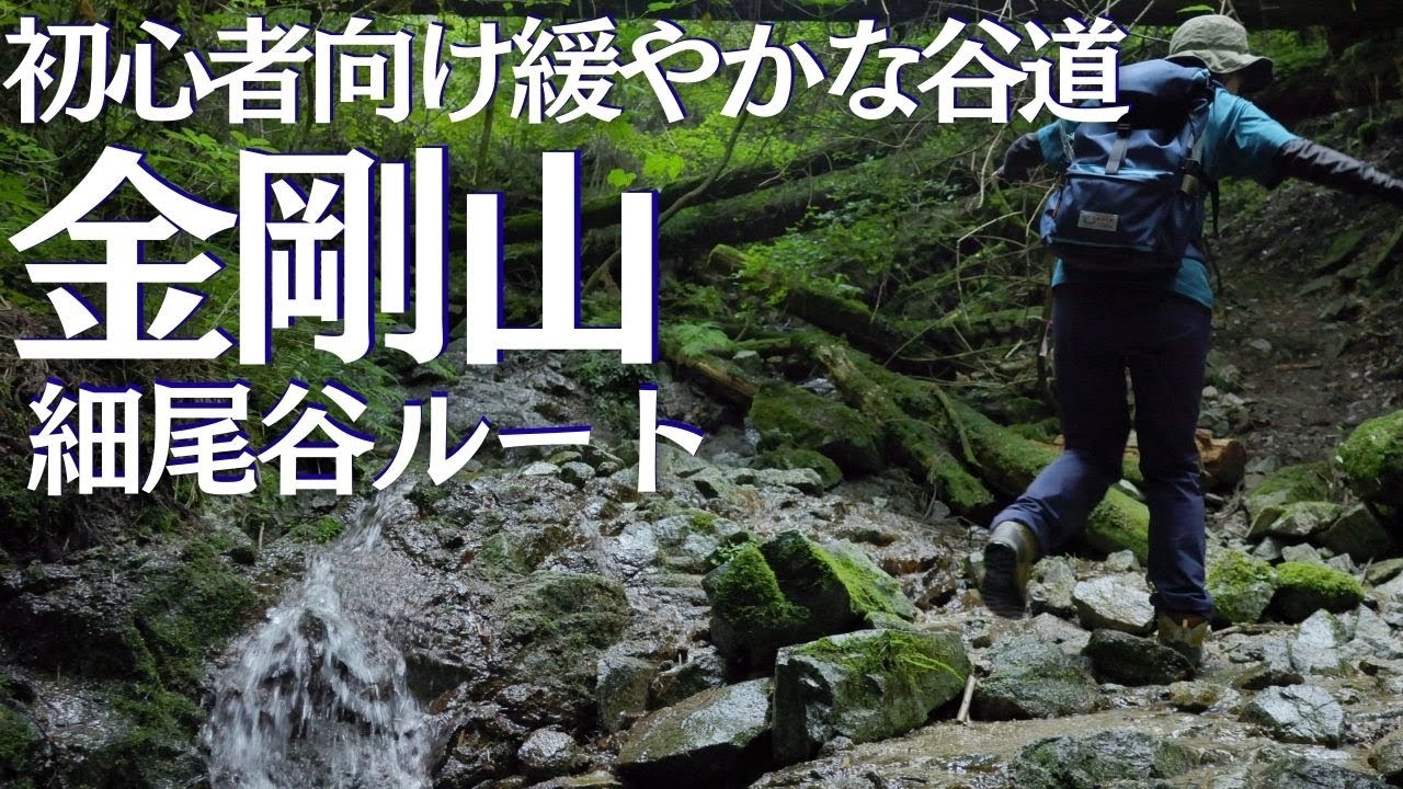 金剛山細尾谷ルートが初心者に優しい納涼ルートだった　ヘタレ夫婦登山Vol.143