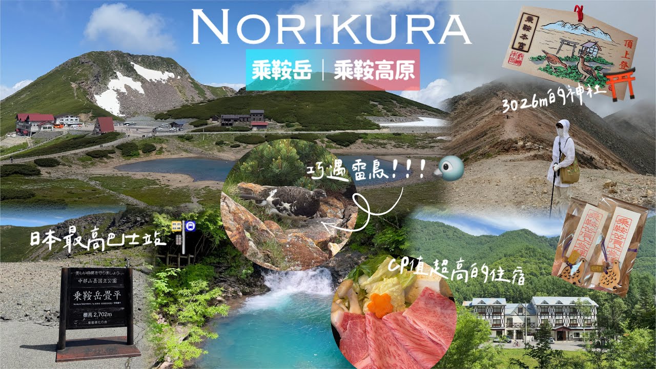 🇯🇵乘鞍岳 乘鞍高原登山健行⛰️｜𝐄𝐩.𝟒 日本北陸𝐯𝐥𝐨𝐠｜巧遇雷鳥/ cp值超高的飯店/ 3062m的神社⛩️