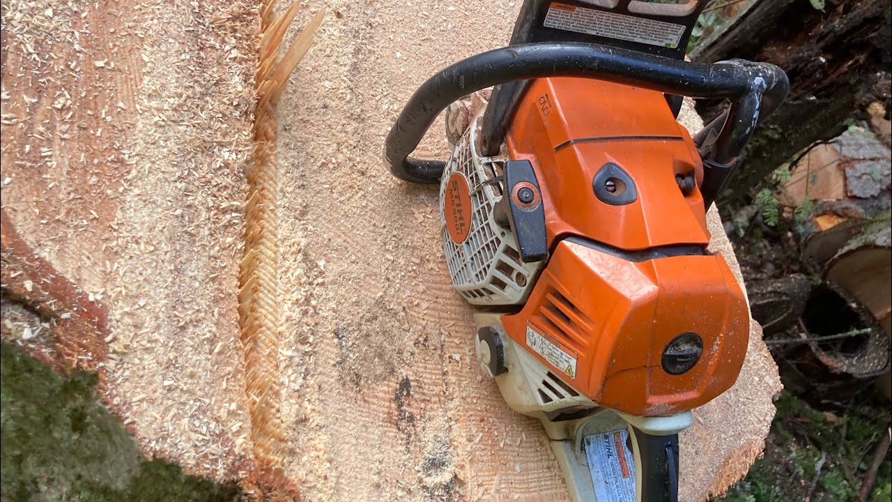Storm damage tree removal