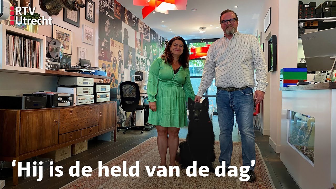 Grommende hond Abel redt opticien van agressieve overvallers | RTV Utrecht