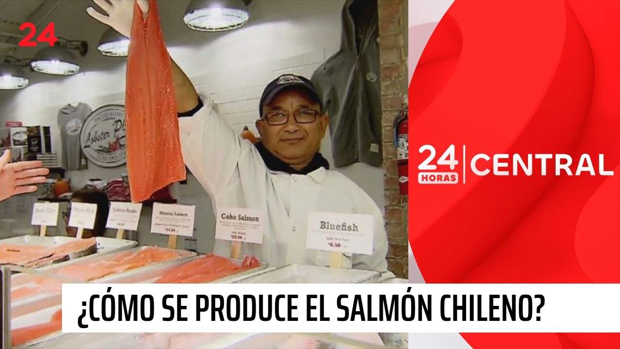 &iquest;C&oacute;mo se produce el salm&oacute;n que exportamos al mundo? | 24 Horas TVN Chile