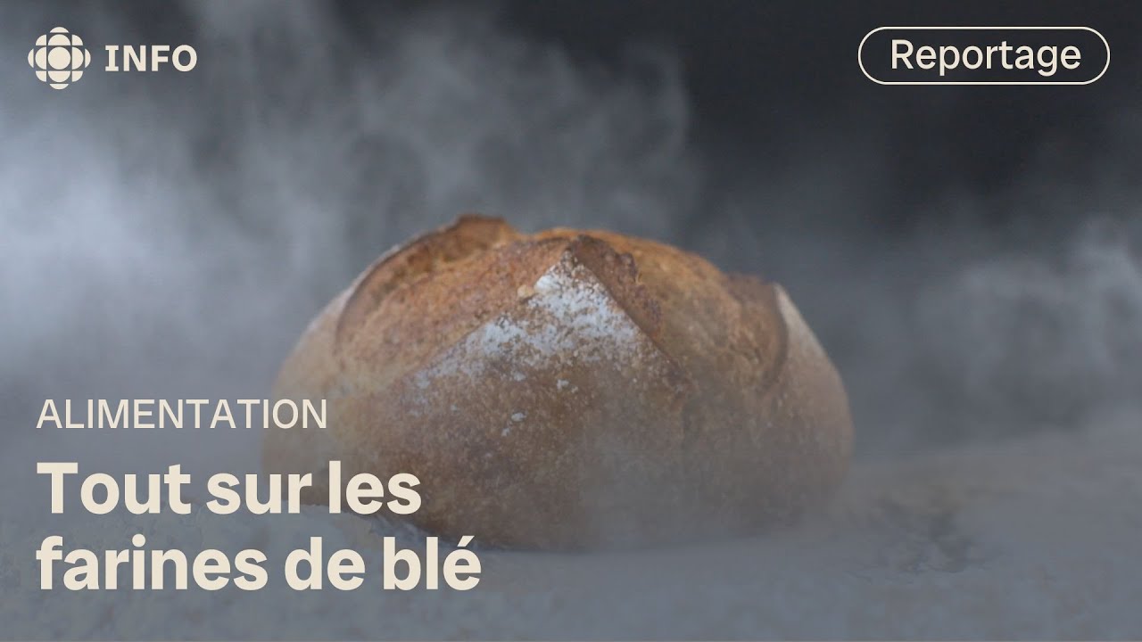 Farines &agrave; p&acirc;tisserie, pain, pizza, tout usage&hellip; du pareil au m&ecirc;me? | L'&eacute;picerie