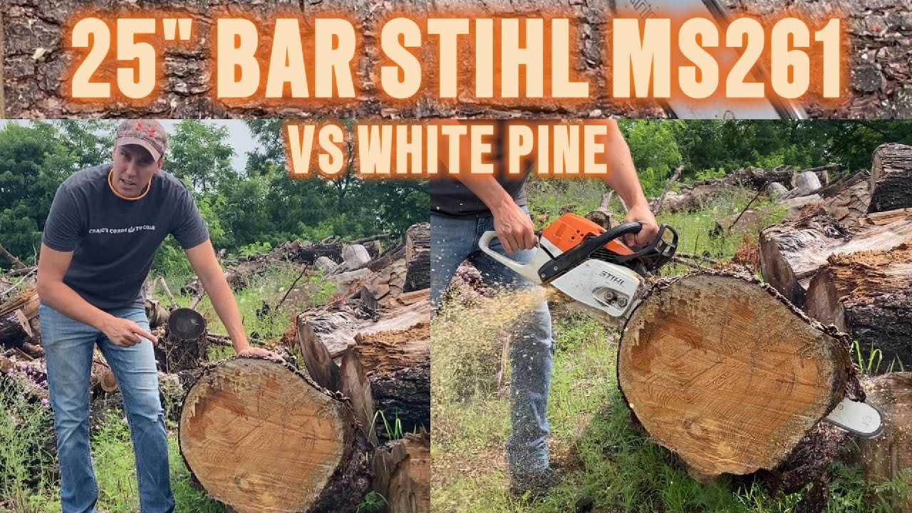 25 Inch Bar Stihl MS261 Chainsaw - Just for Fun