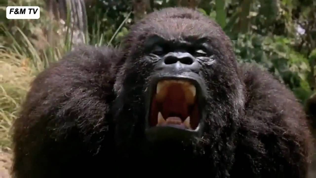 Film Cinema S01E02