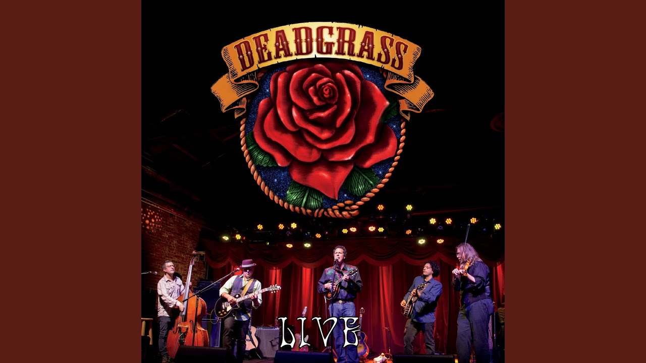 Wild Horses (Live)