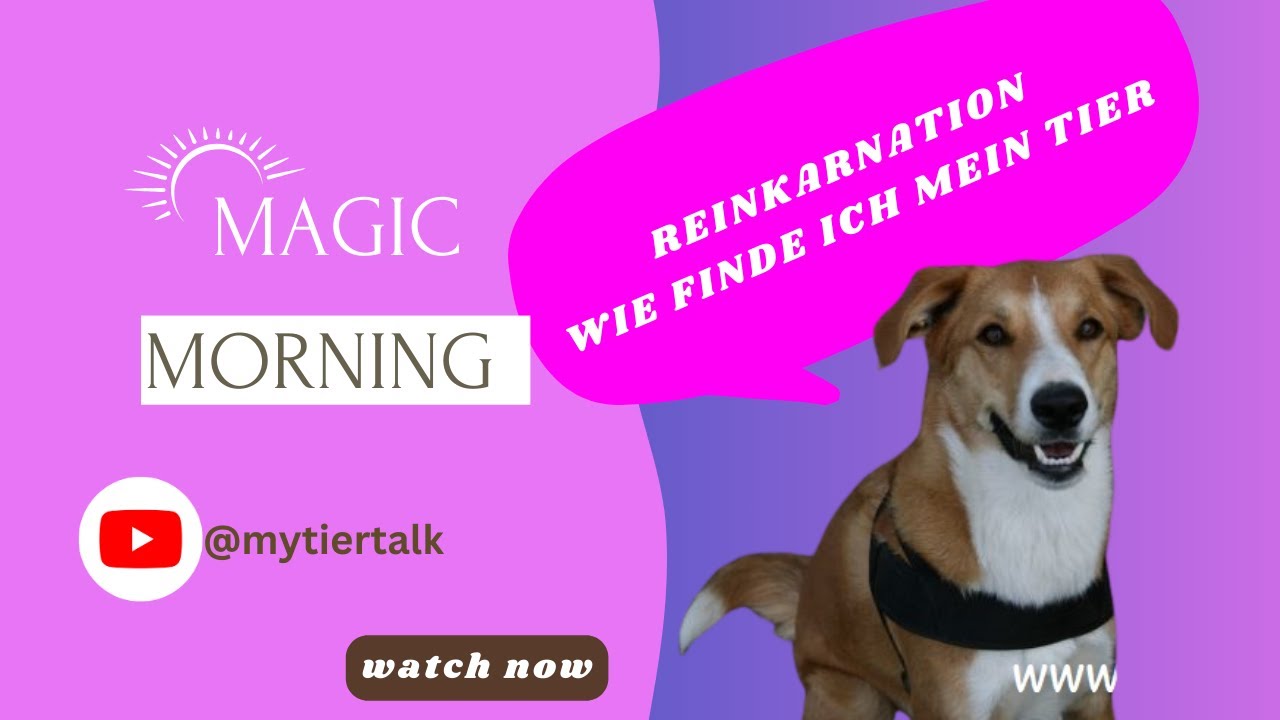 REINKARNATION | WIE FINDE ICH MEIN TIER