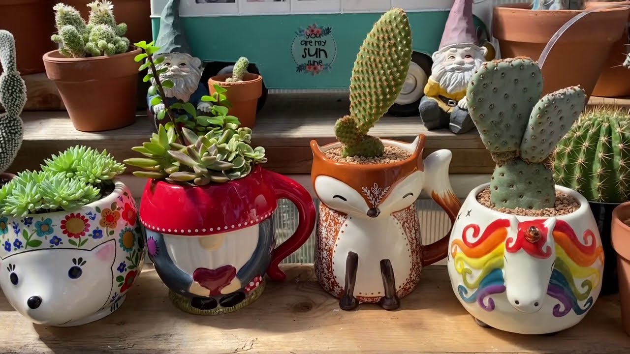 Mugs from natural life turned into planters for cacti and succulents