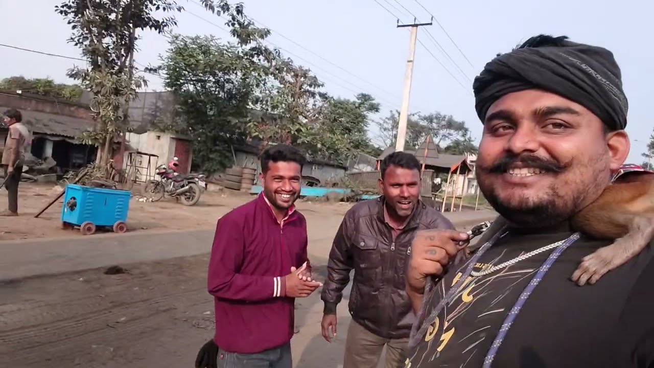 Truck working time monkey and truck driver life video #voicevideo #minivlog 