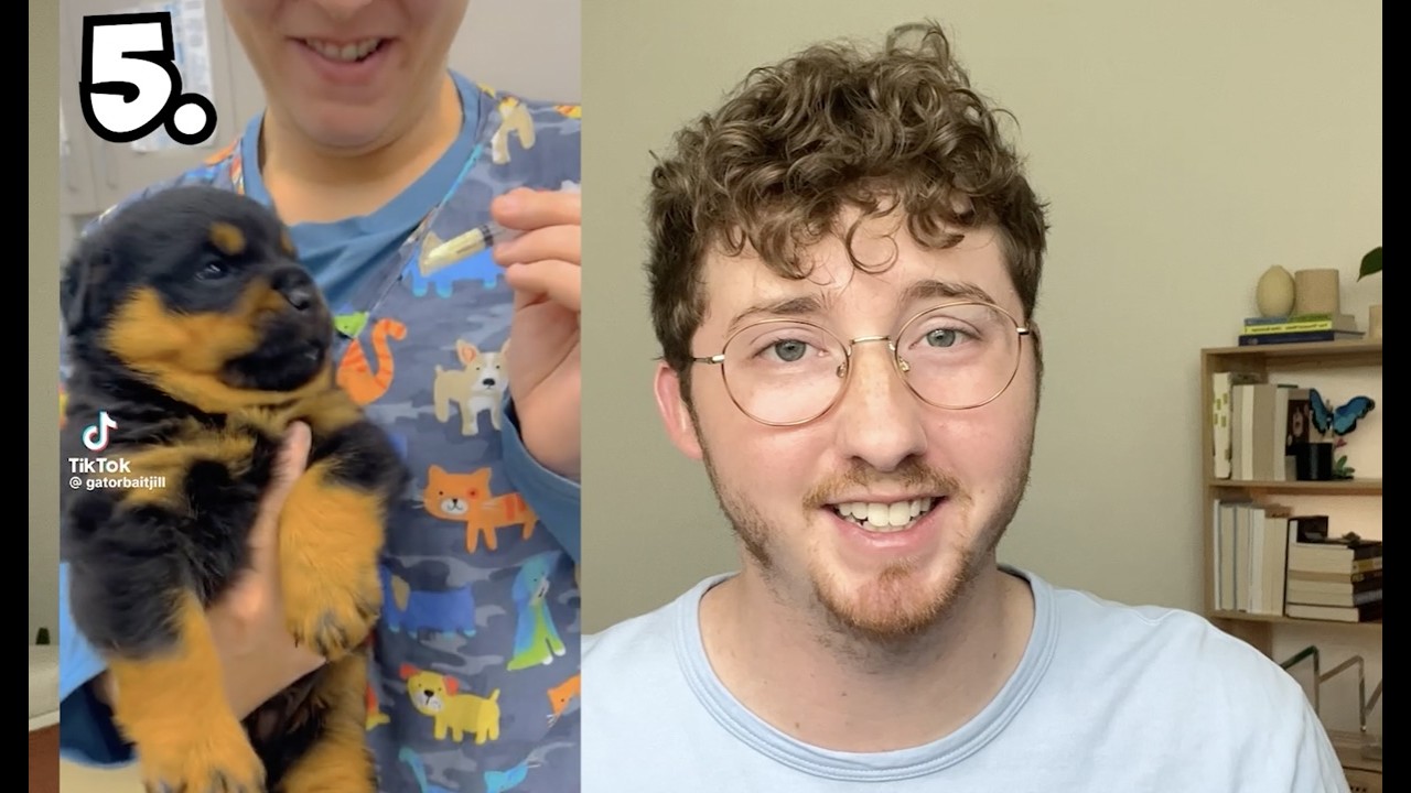 Top 5 Dogs of the Week!