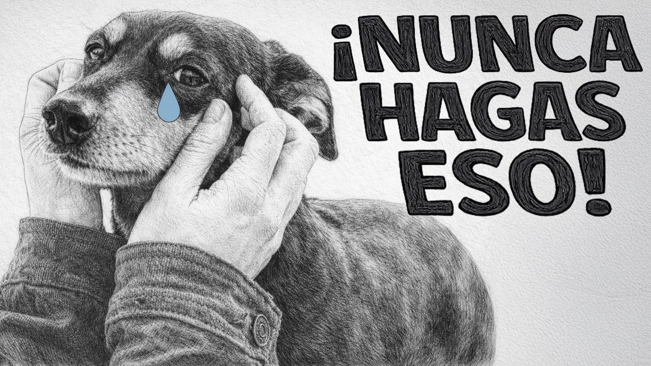 16 Cosas que tu perro NUNCA te PERDONARÁ y NUNCA OLVIDARÁ!