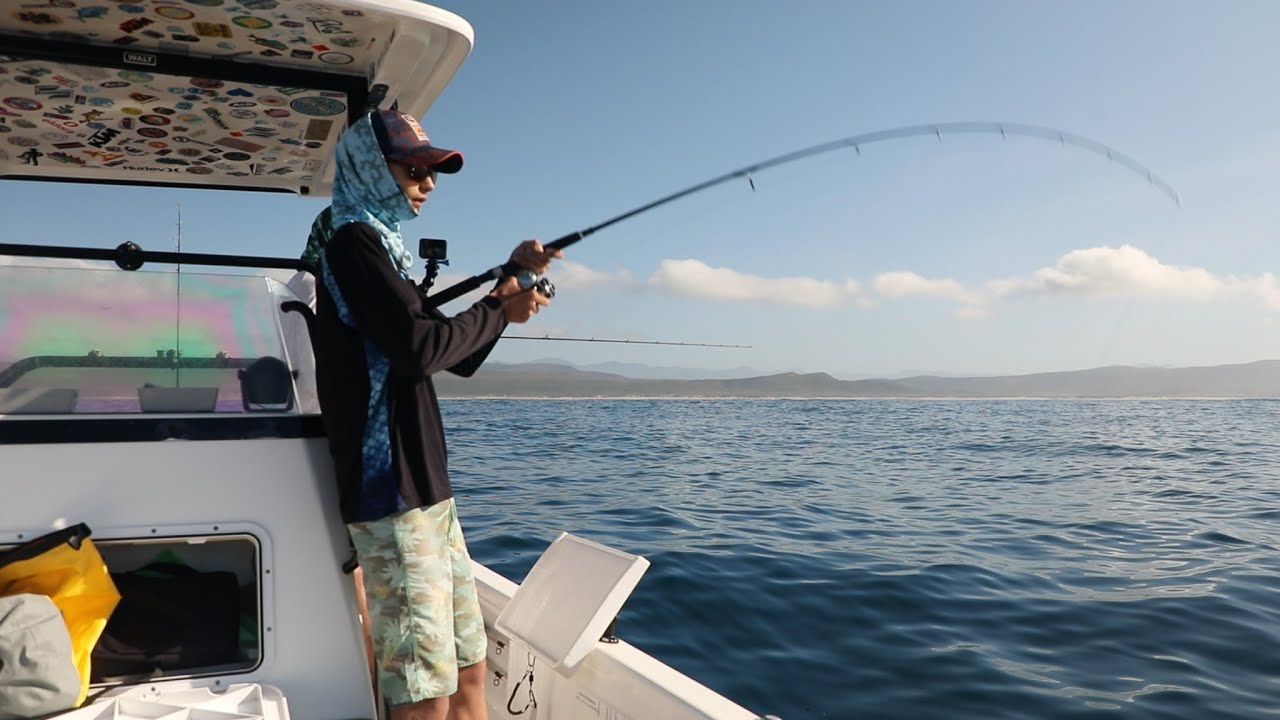 Dolphins, Bait Balls, and Reef Fish! A Perfect Day at Buffalo Bay