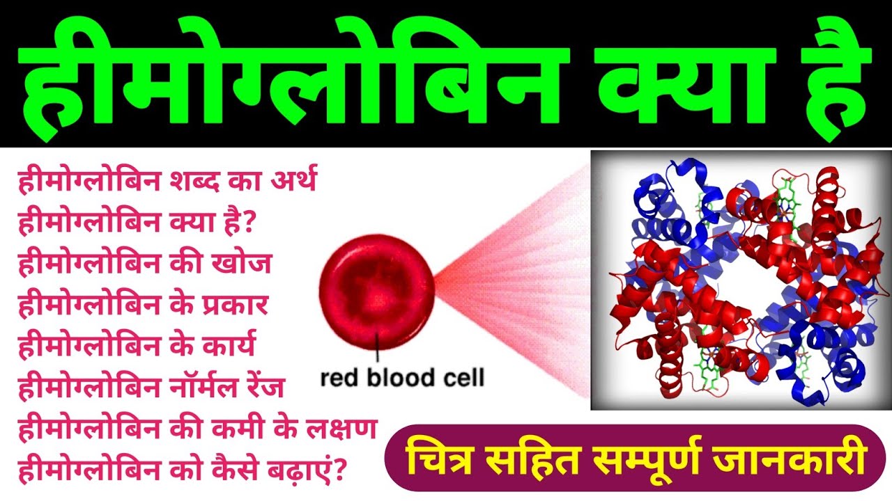 हीमोग्लोबिन | haemoglobin in hindi | hemoglobin | haemoglobin biochemistry | all about haemoglobin