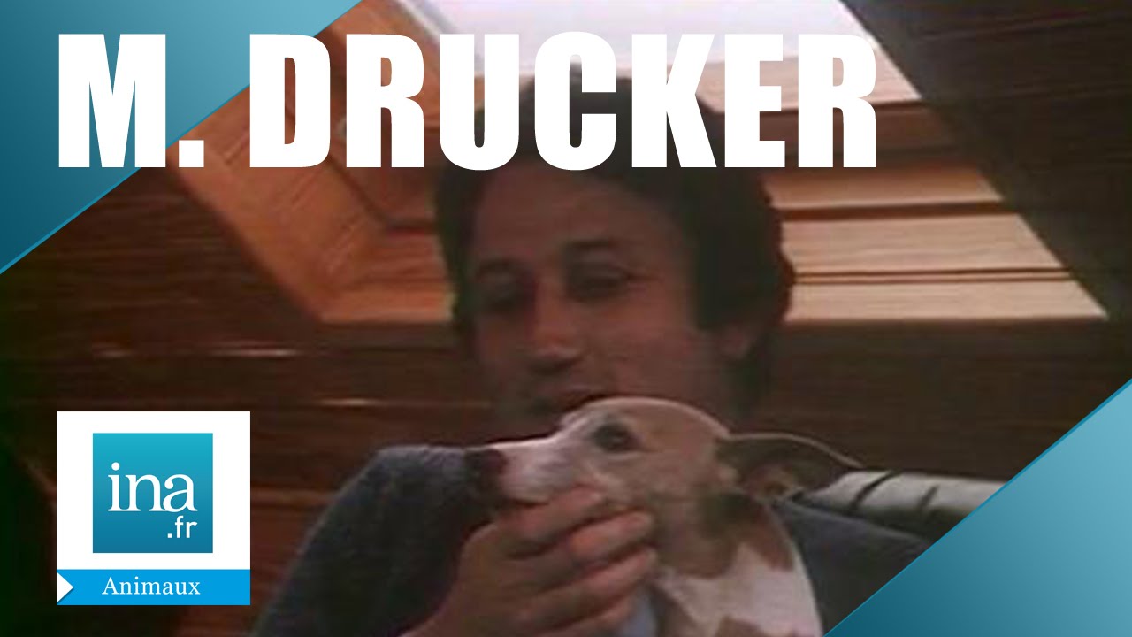 Dany Saval et Michel Drucker : la whippettite aiguë | Archive INA