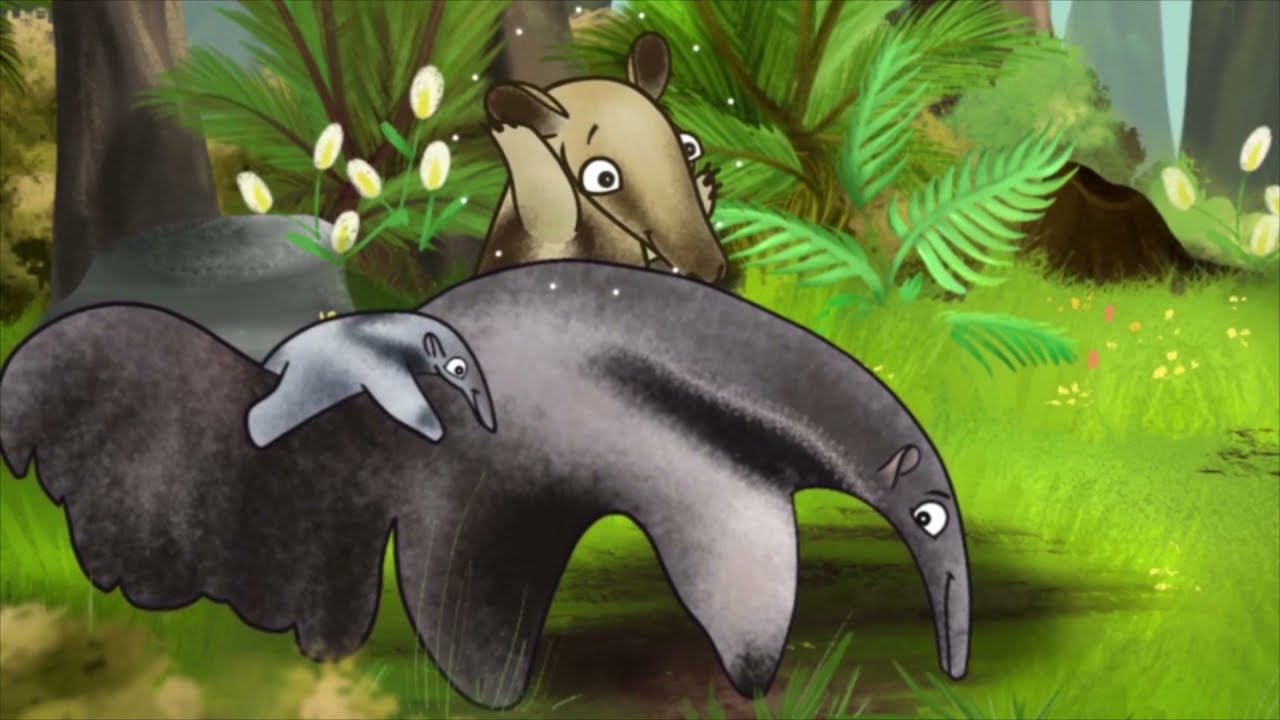 Oso hormiguero 🌿 Tamandua mexicana 🐾 Video educativo para niños | Animales