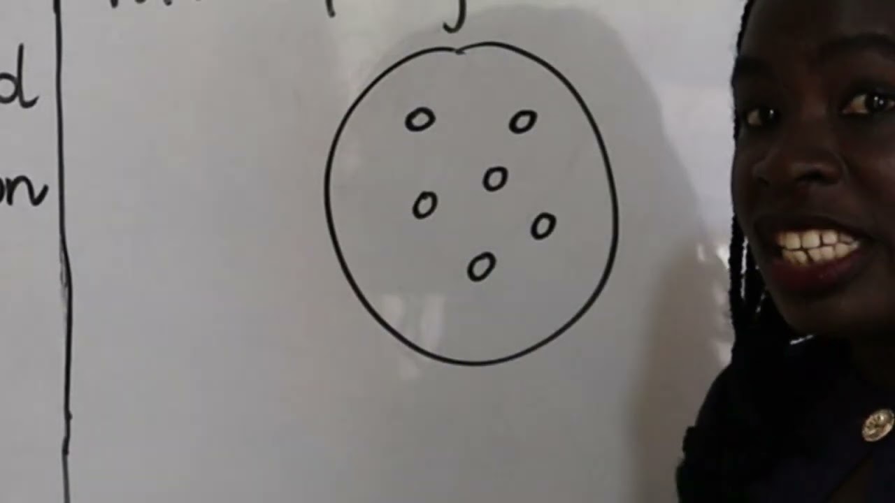 GUIDE TO BETTER ESSAYS: READING THE QUESTION