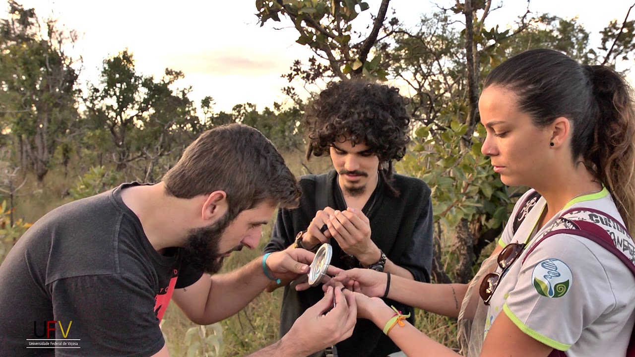 Cursos de graduação da UFV – Ciências Biológicas e da Saúde – Ciências Biológicas