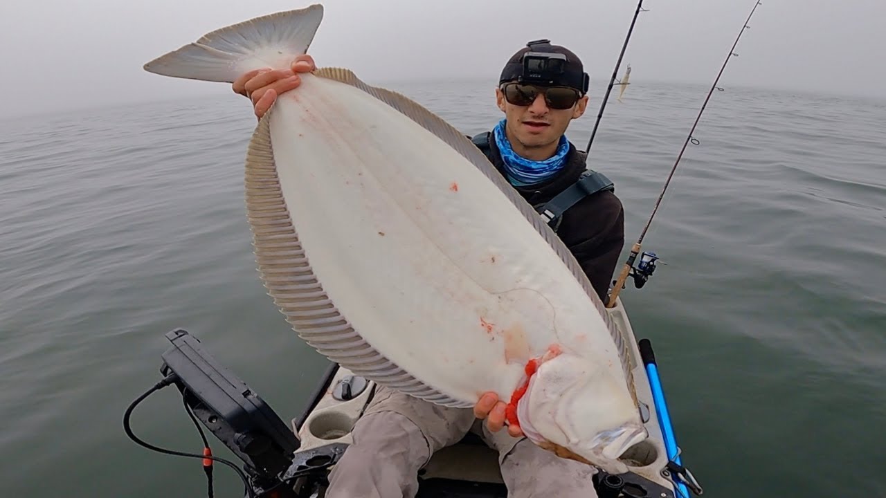 Using a Drone to Hunt Monster Fish