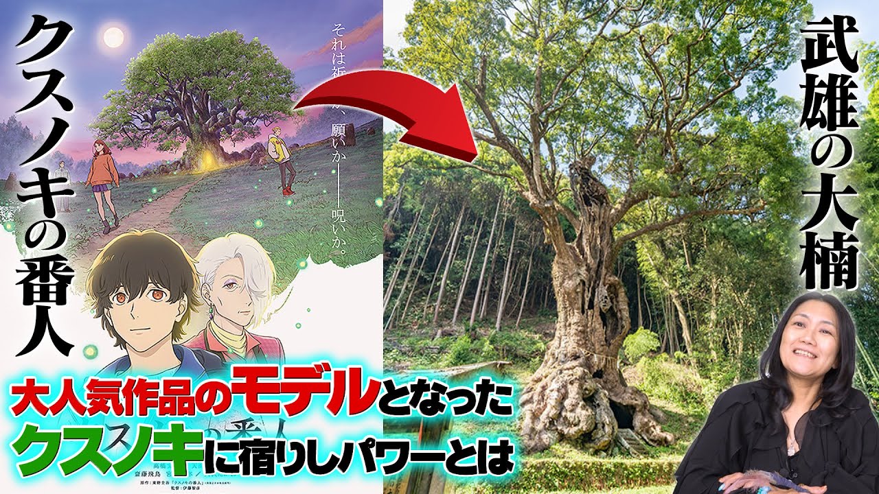 大人気作品のモデルとなったクスノキは実際にはどんなパワーがあるのか