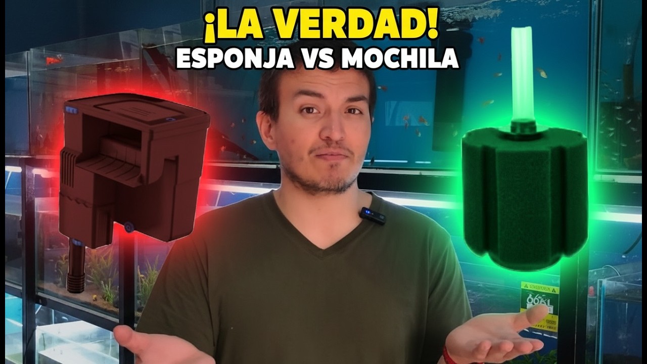 RESUELVE la GRAN DUDA ¿Filtro de Esponja o Filtro Mochila? ¿Cuál es mejor? 