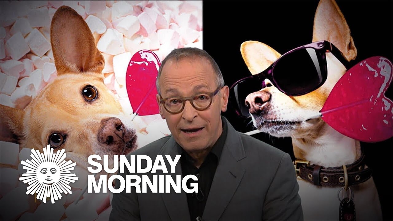 David Sedaris on dogs and the people who obsess over them