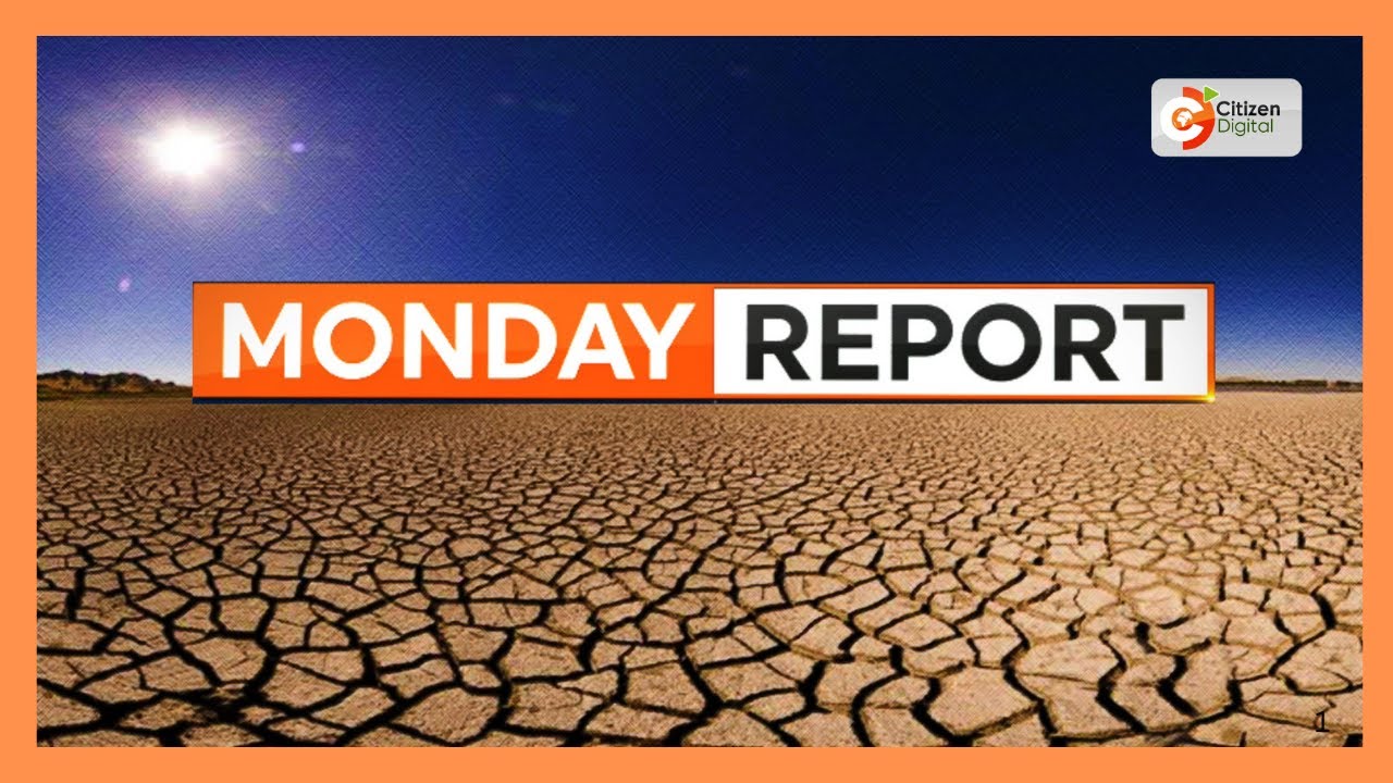 MONDAY REPORT | 26TH JANUARY 2026