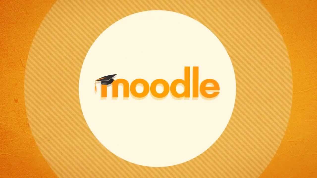2013 Moodle LMS video
