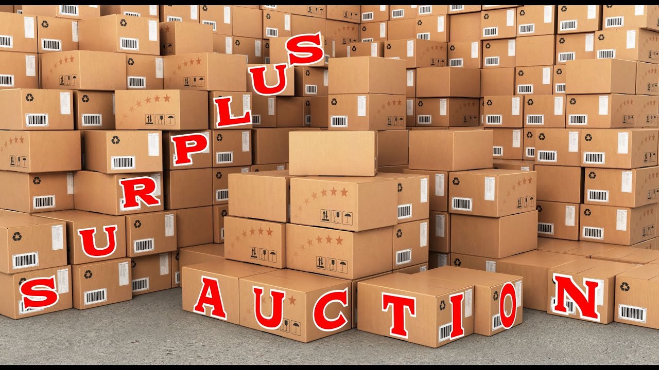 Surplus Auction
