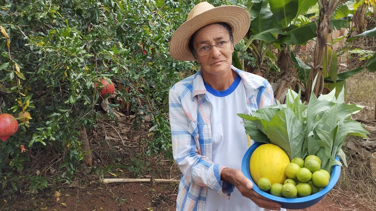 DIA DE COLHEITA DE VERDURAS E FRUTAS AQUI NA CHÁCARA
