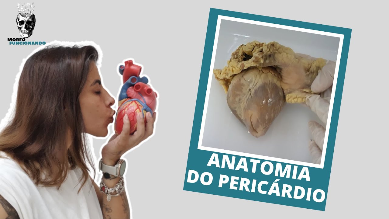 ANATOMIA DO PERICÁRDIO #5