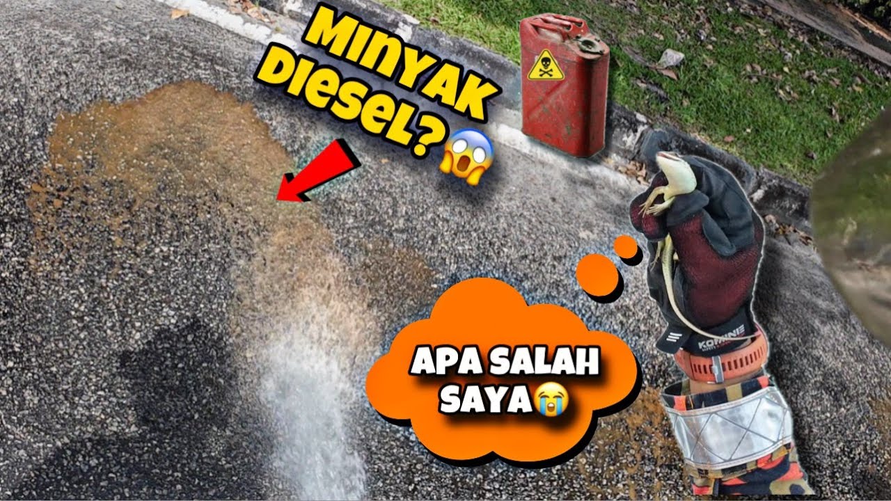 💢DISANGKAKAN ULAR RUPANYA😱? CELORENG BOMBA - TUMPAHAN MINYAK