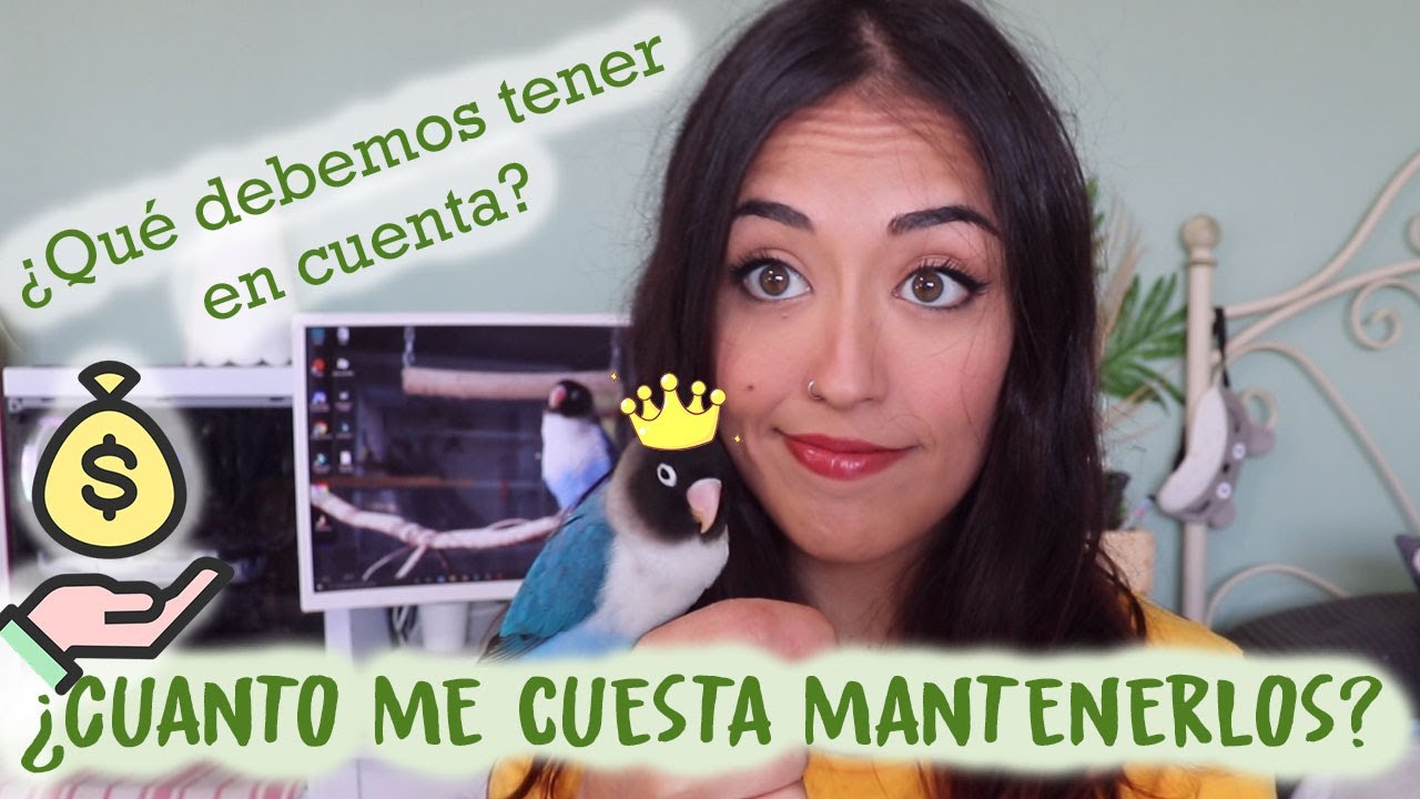 ¿Cuánto me cuesta mantenerlos?- Qué tener en cuenta AVES