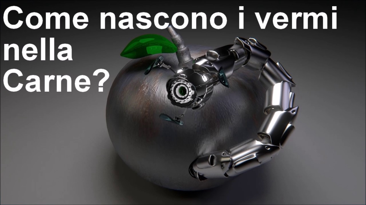 [Curiosit&agrave;] Come nascono i vermi nella carne?