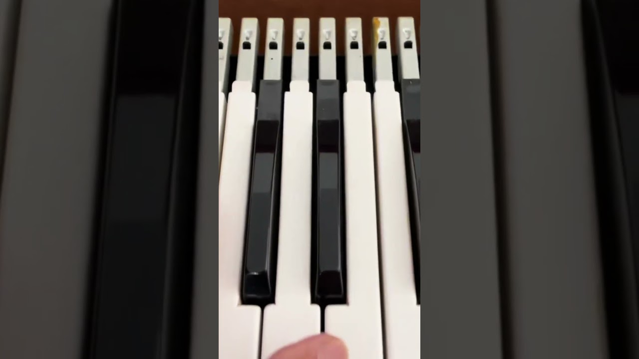 A look inside the Clavinet  #vintagekeys #piano #boogie