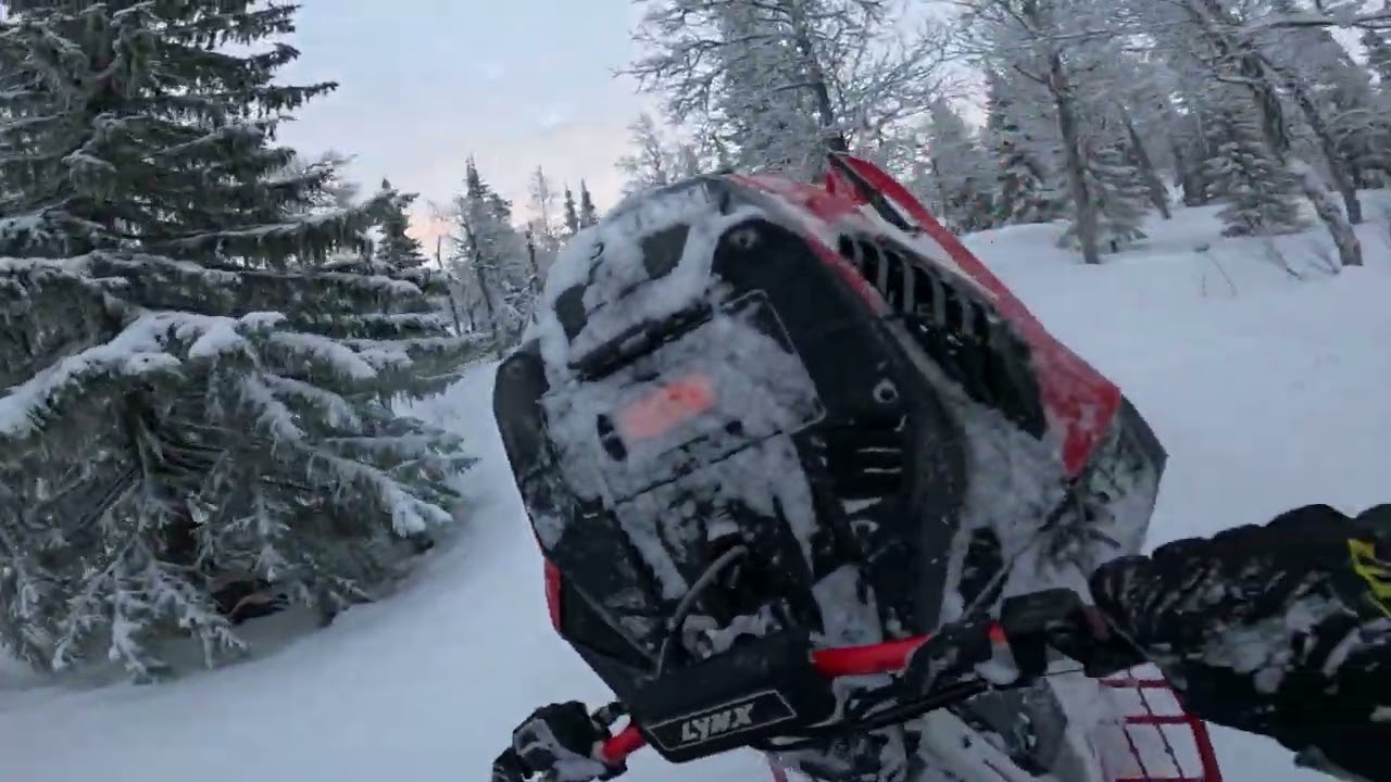 Lynx Shredder Turbo 3700 in Kvikkjokk/Årrenjarka! Tree riding