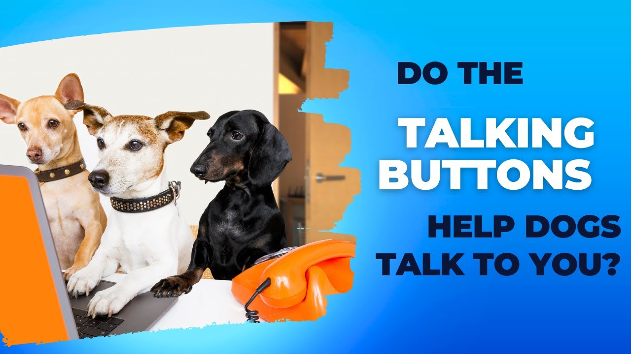 do the talking buttons help dogs talk to you??? #pettalk