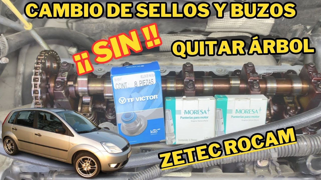 Cambiar Sellos de Válvula y Buzos / Zetec Rocam