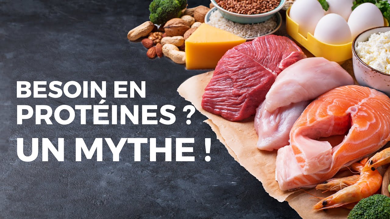 Besoin en Protéines? Le Mythe ! Sylvère CARON
